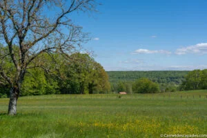 visite-luxeuil-les-bains-region