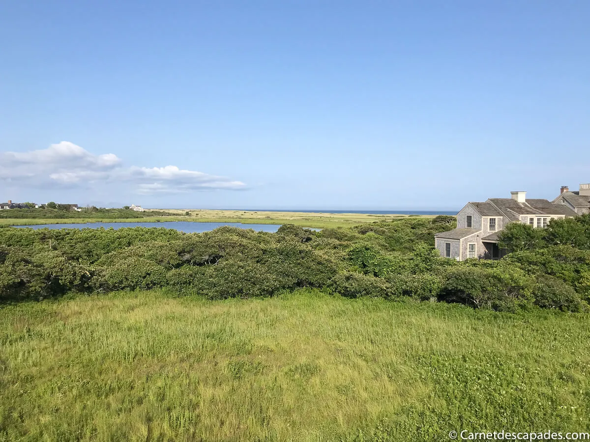 nature nantucket