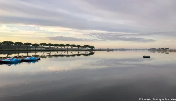 delta-po-reflets