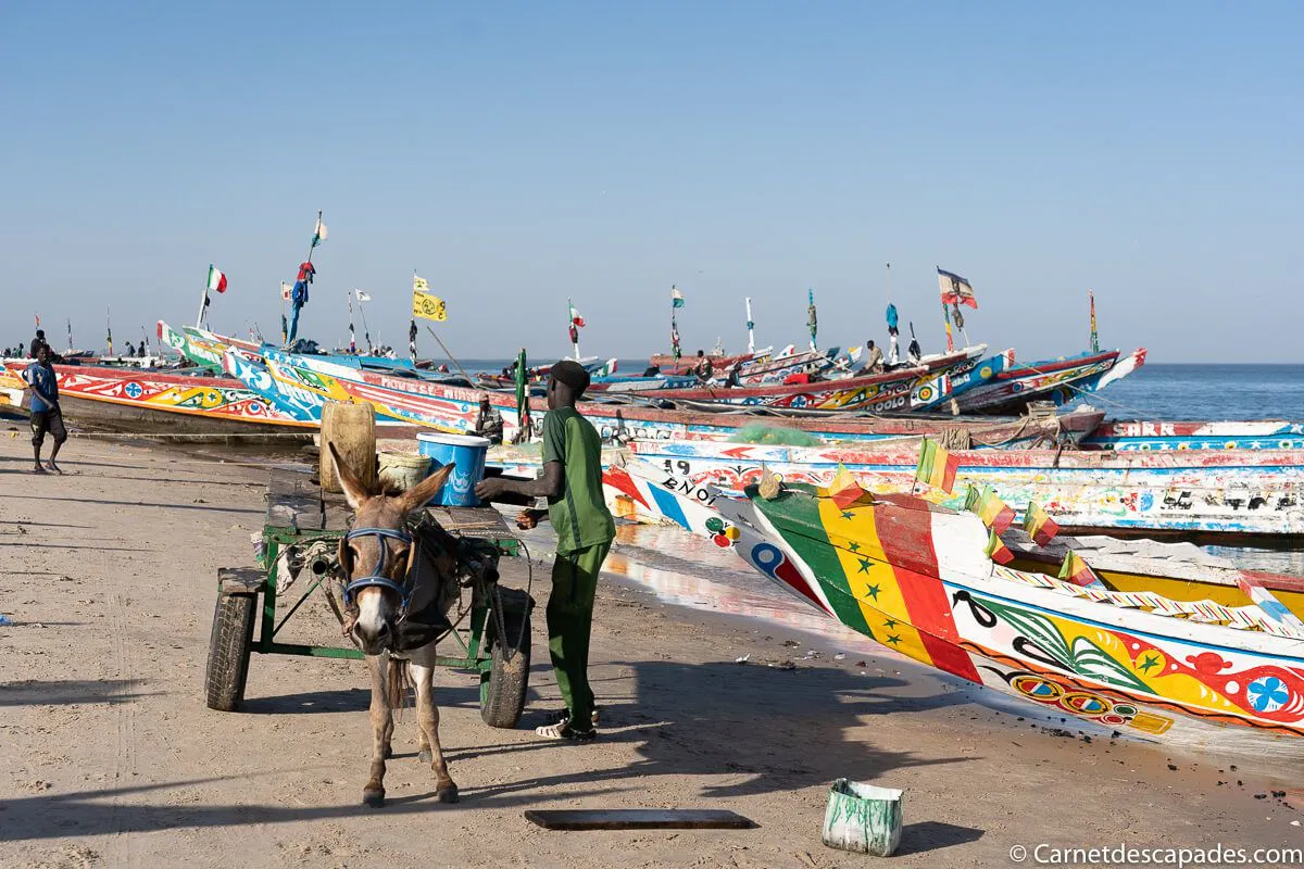 chargement-poisson-djiffer