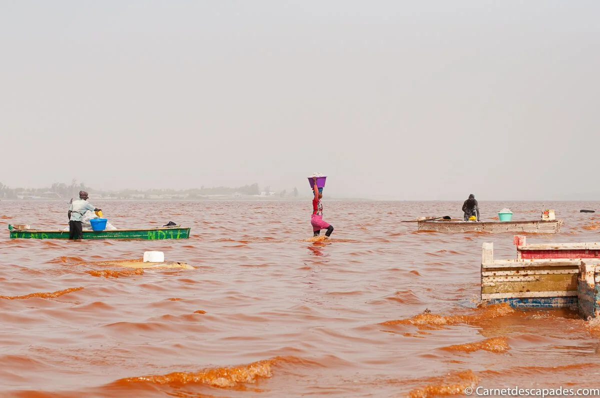 dechargement-sel-lac-rose