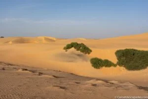 desert-lompoul
