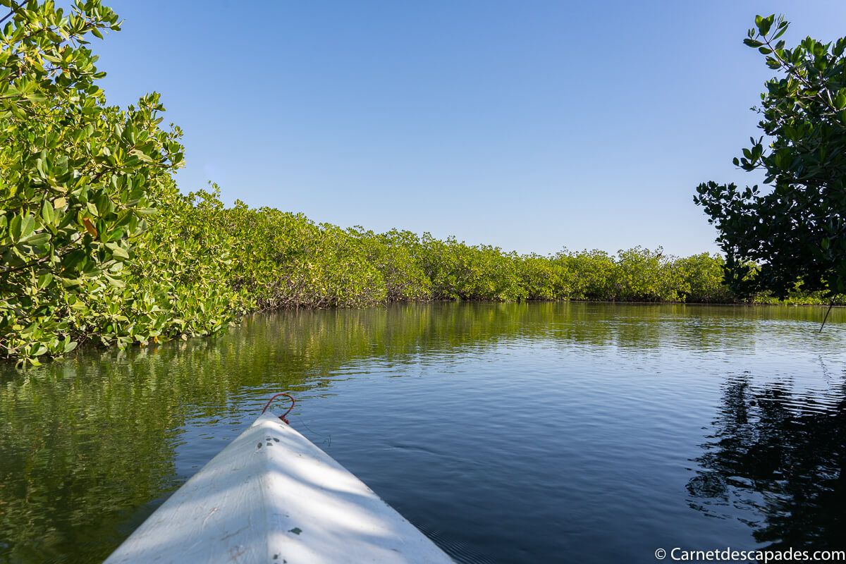 kayak-mangrove-senegal