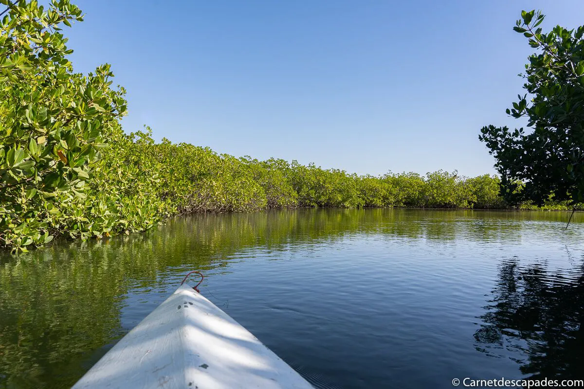 kayak-mangrove-senegal