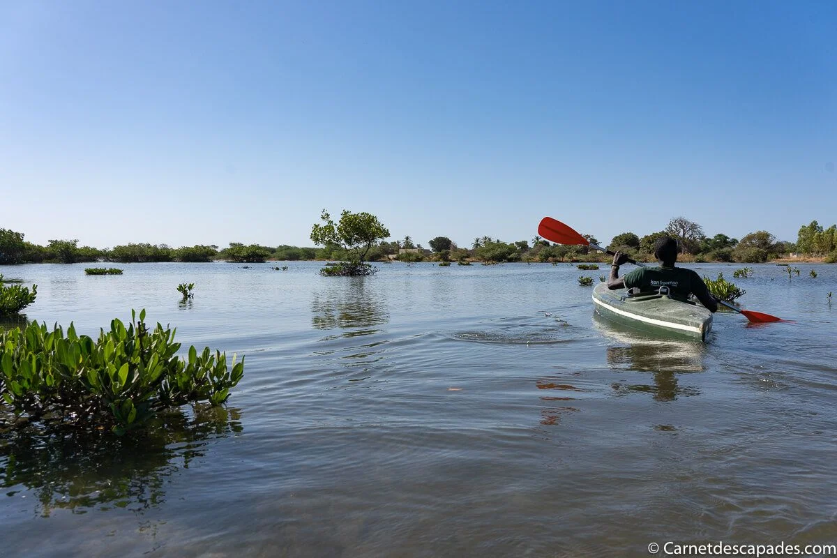 kayak-mangrove-sine-saloum