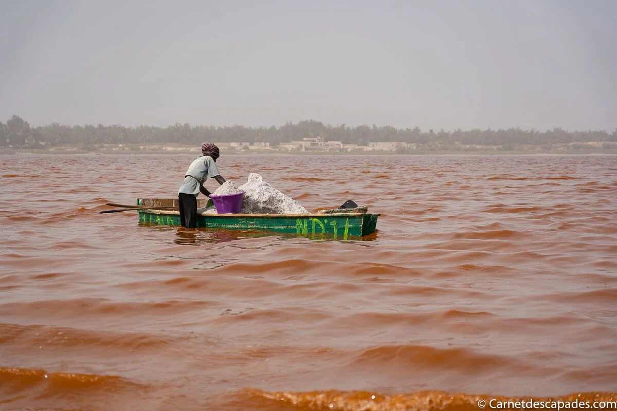 lac rose pirogue sel