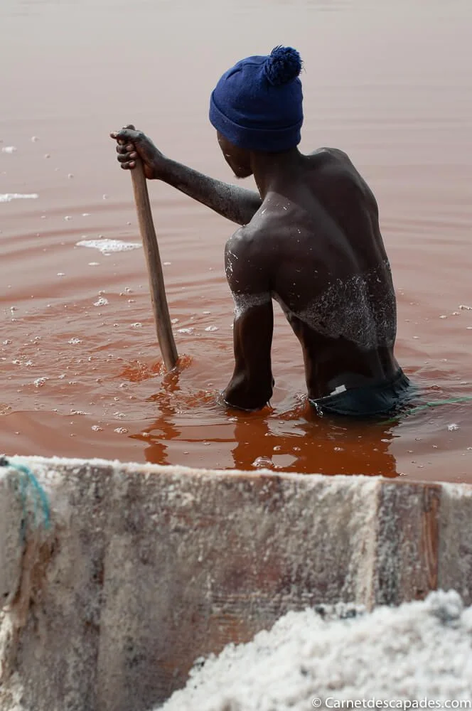 lac-rose-recolte-sel
