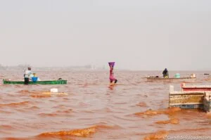 lac-rose-retba-senegal