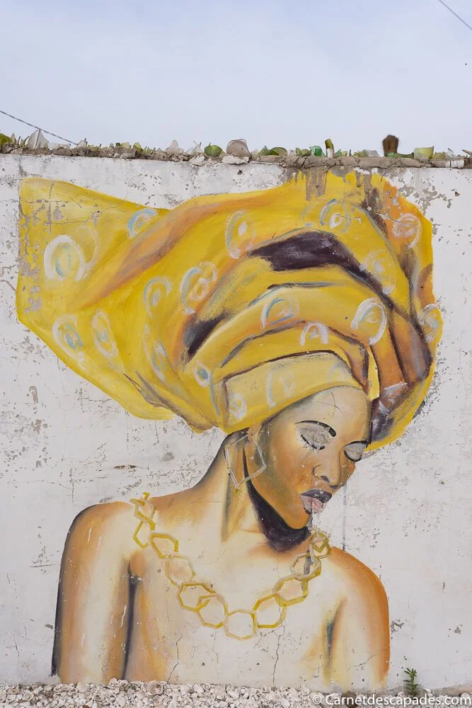 niaga peinture