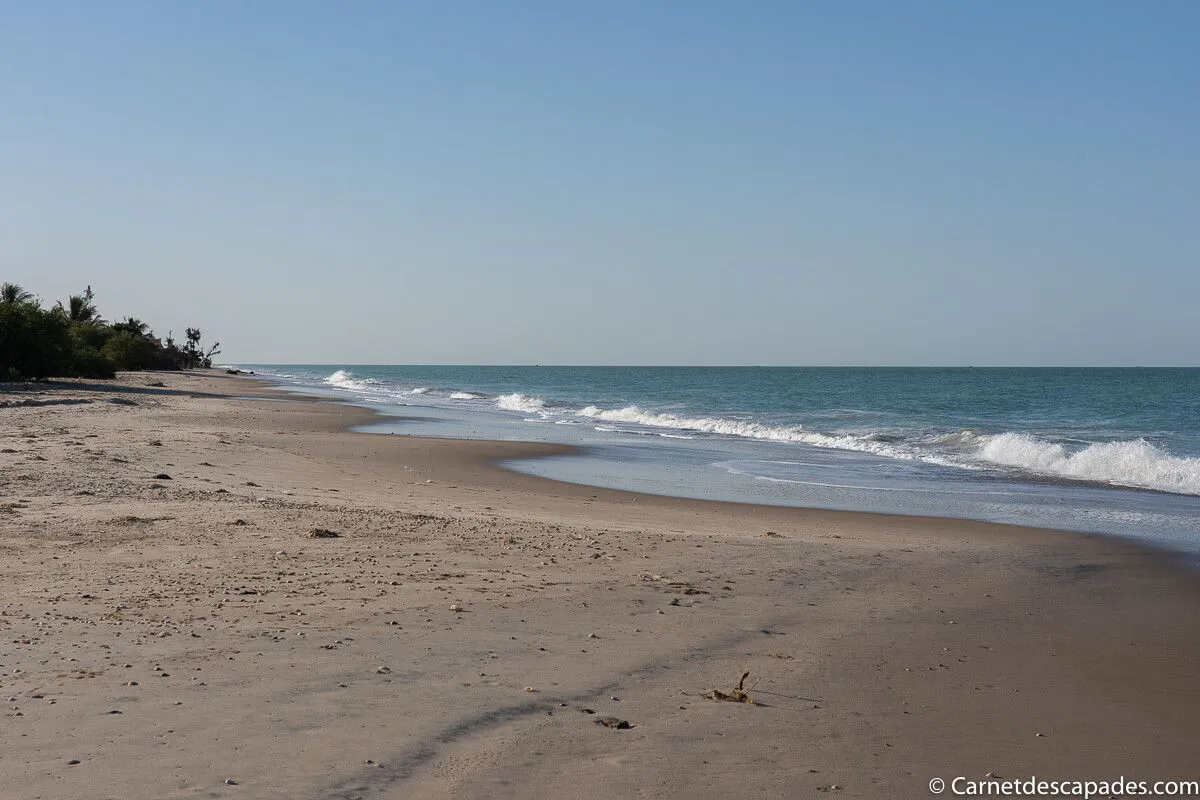 plage-palmarin
