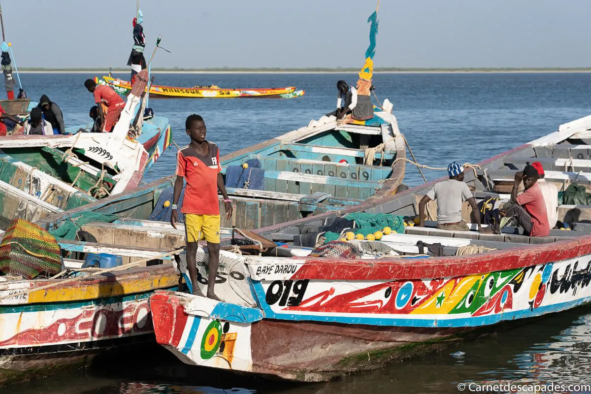 retour-peche-djiffer