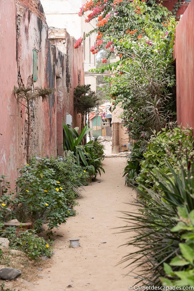 ruelle-ile-goree