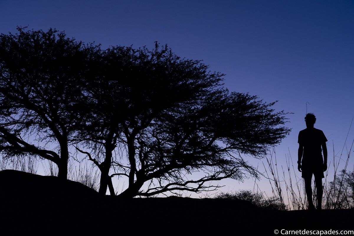coucher-soleil-desert-kalahari