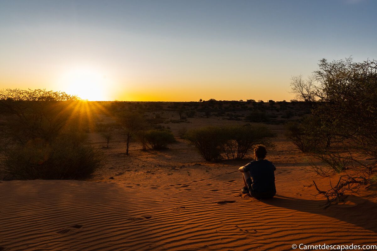 coucher-soleil-kalahari