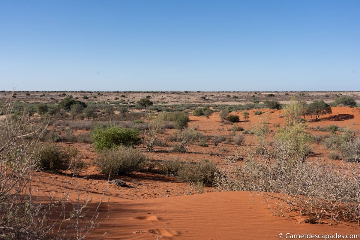 desert-kalahari-balade