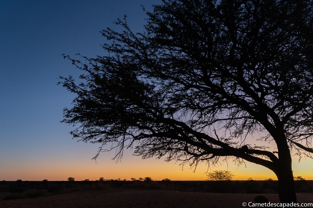 desert-kalahari-coucher-soleil
