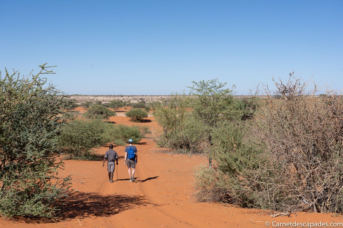 desert-kalahari-namibe-balade