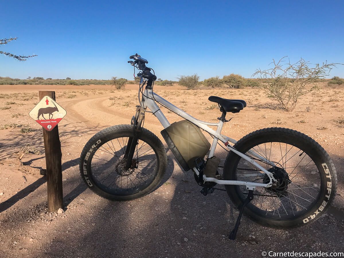 fat-bike-anib-kalahari-lodge
