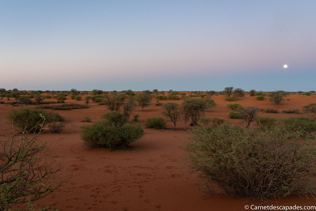 kalahari-desert-namibie