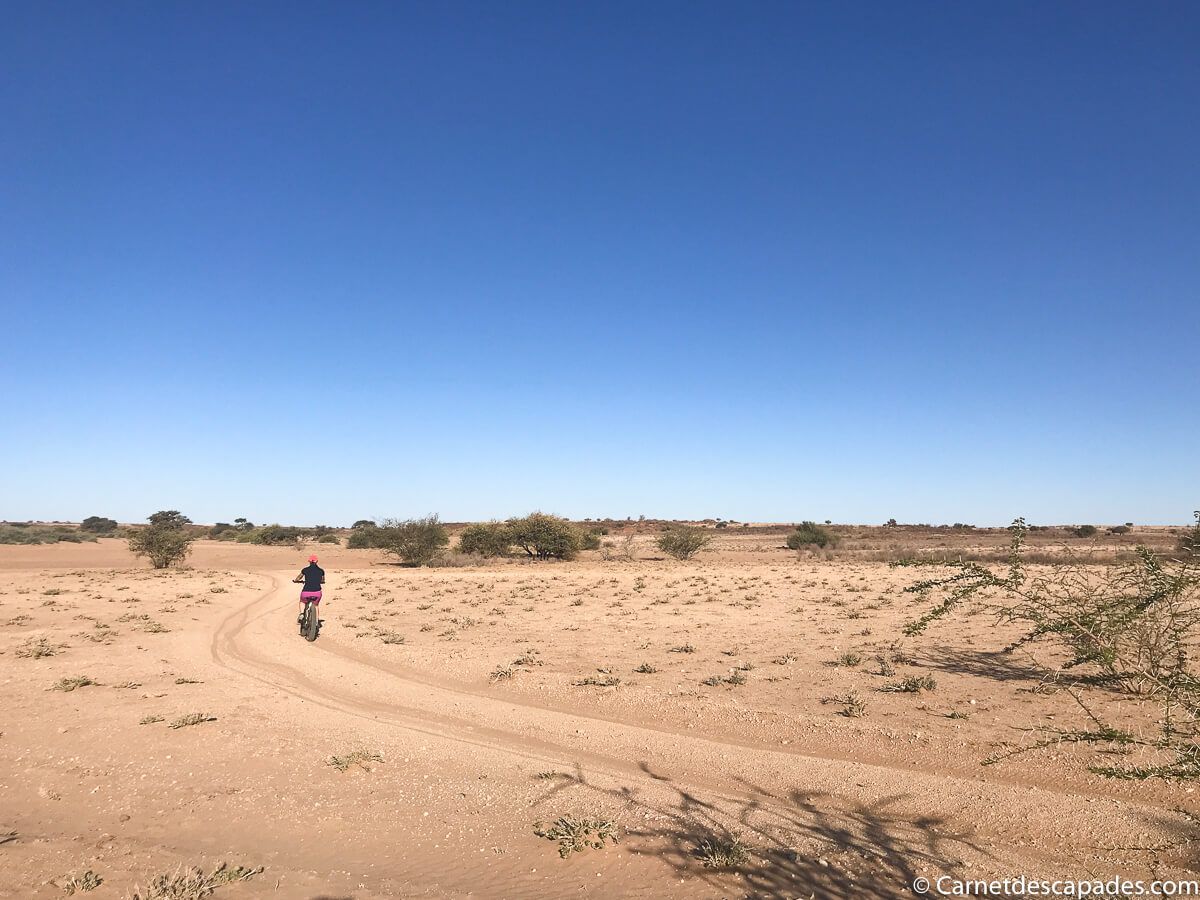kalahari-fat-bike