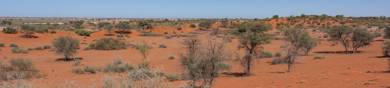 namibie-desert-kalahari