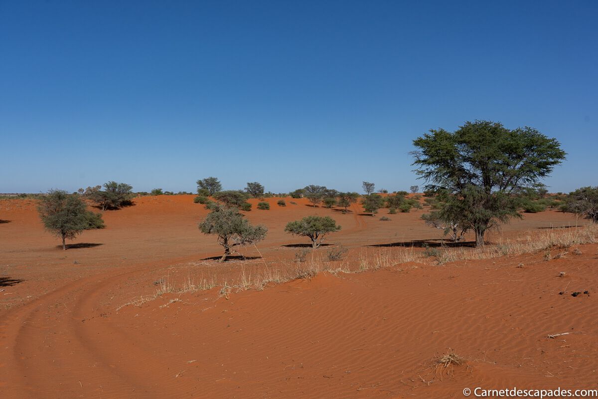 paysages-desert-kalahari