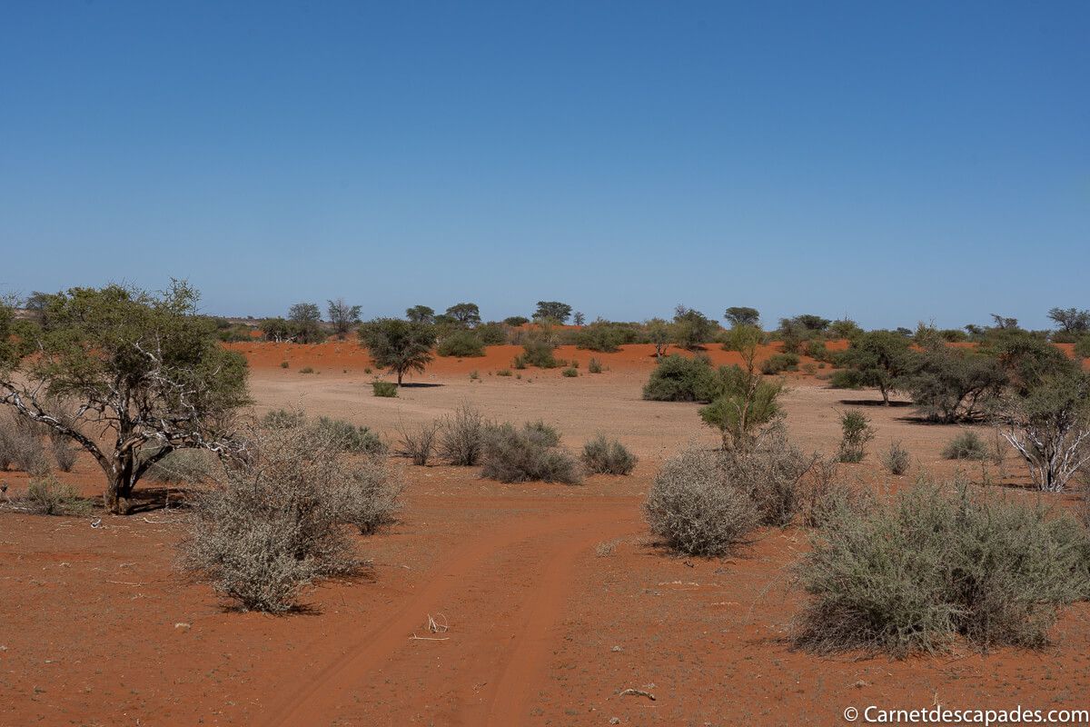 promenade-desert-kalahari