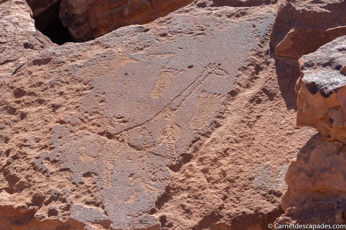 gravures-twyfelfontein-namibie