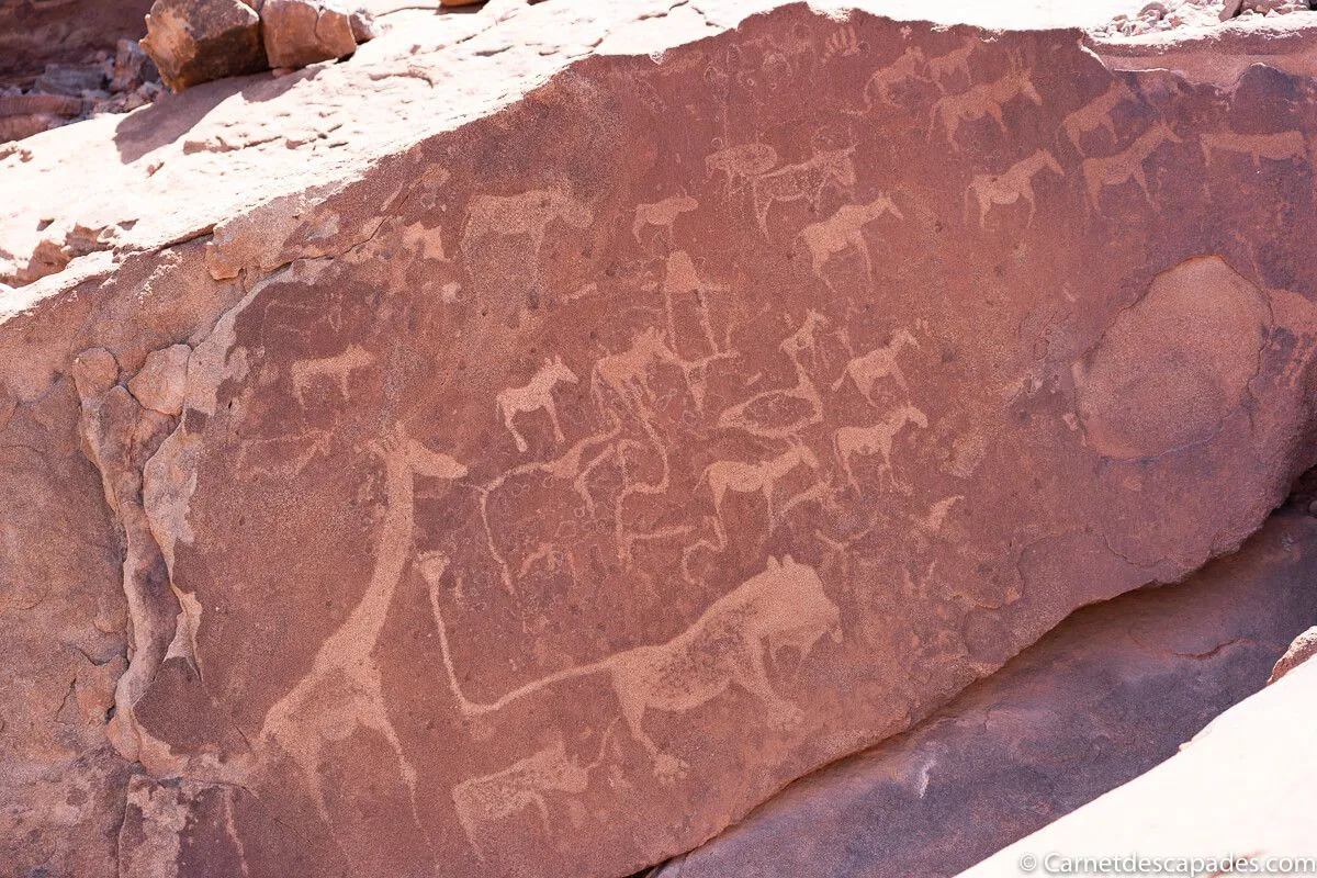 gravures-twyfelfontein