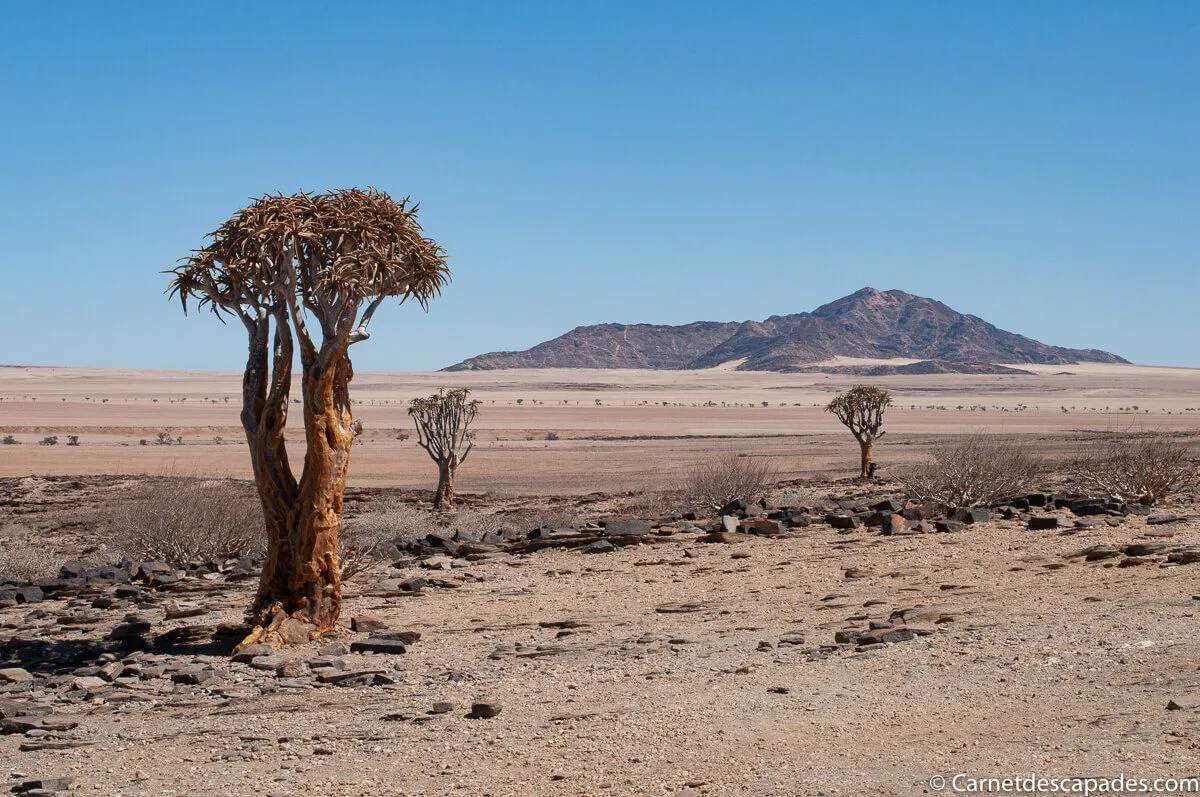 namibie-paysages