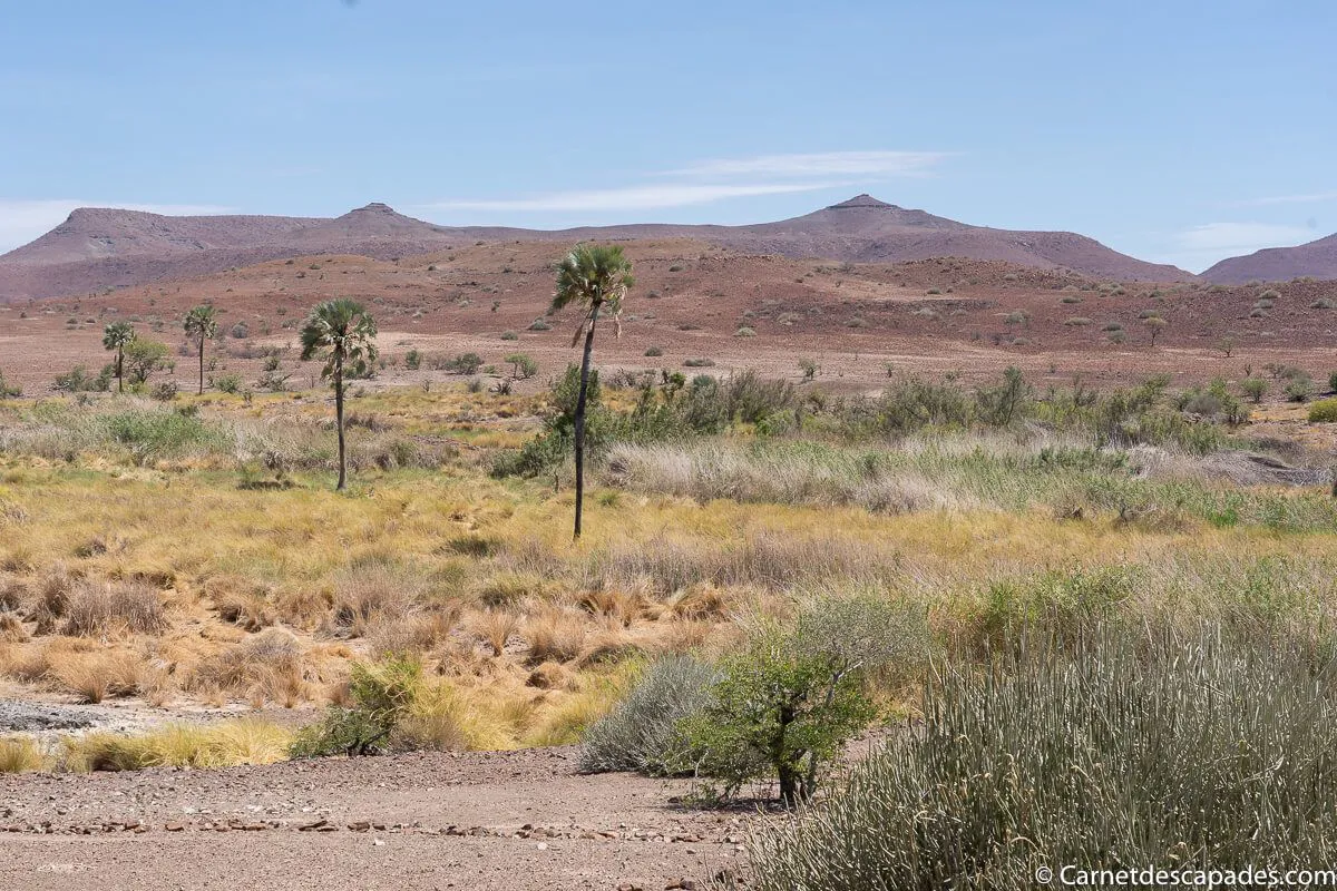 palmwag-namibie