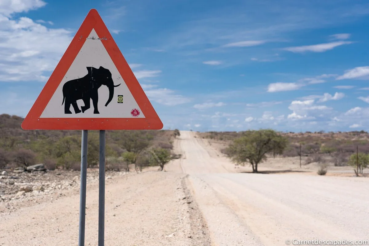 panneau elephant namibie