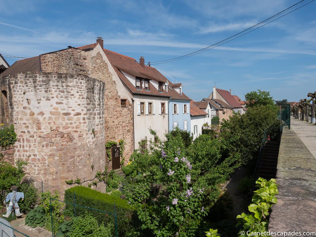 remparts-obernai