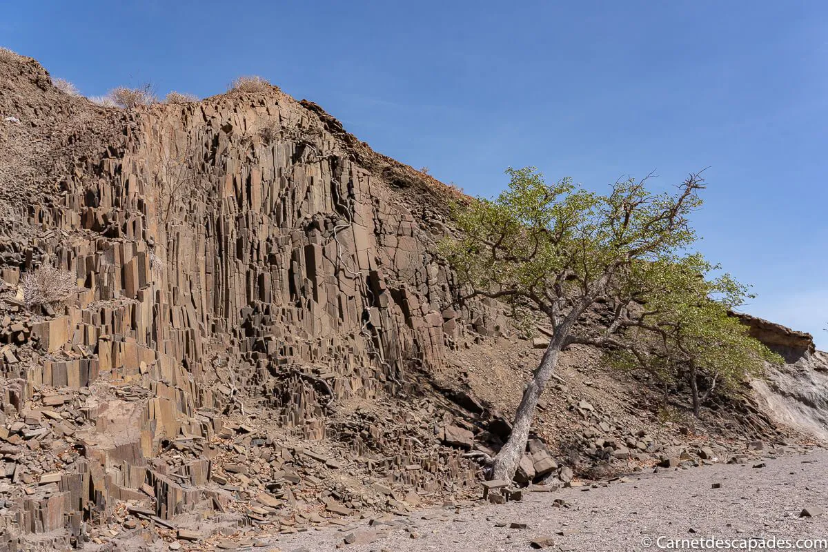 tuyaux-orgue-damaraland