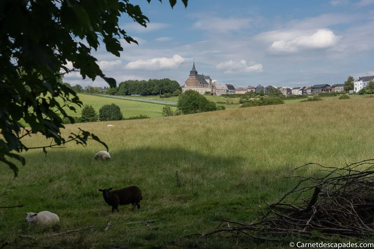 pays-herve-wallonie-belgique