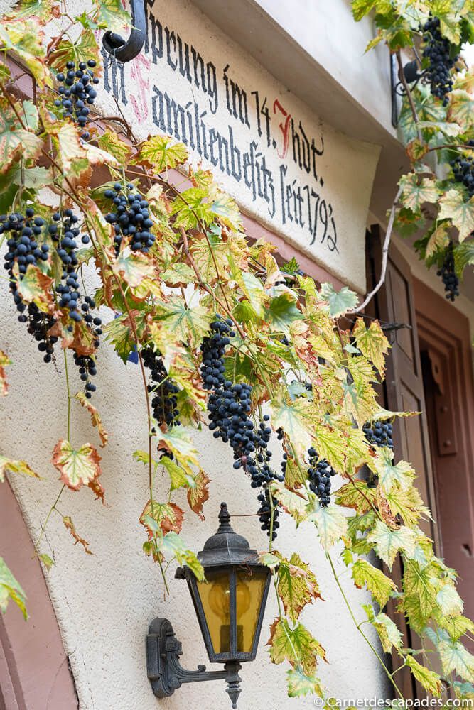neustadt-an-der-weinstrasse