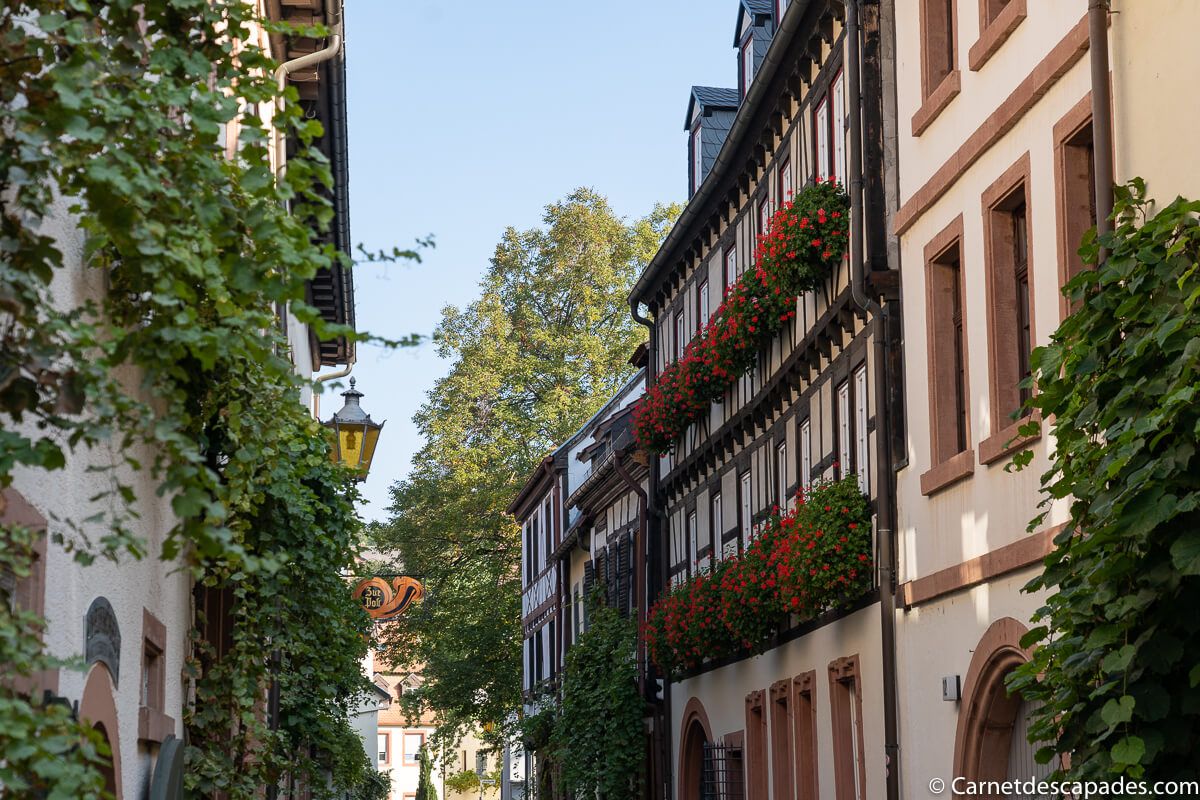 neustadt-route-vins-allemagne