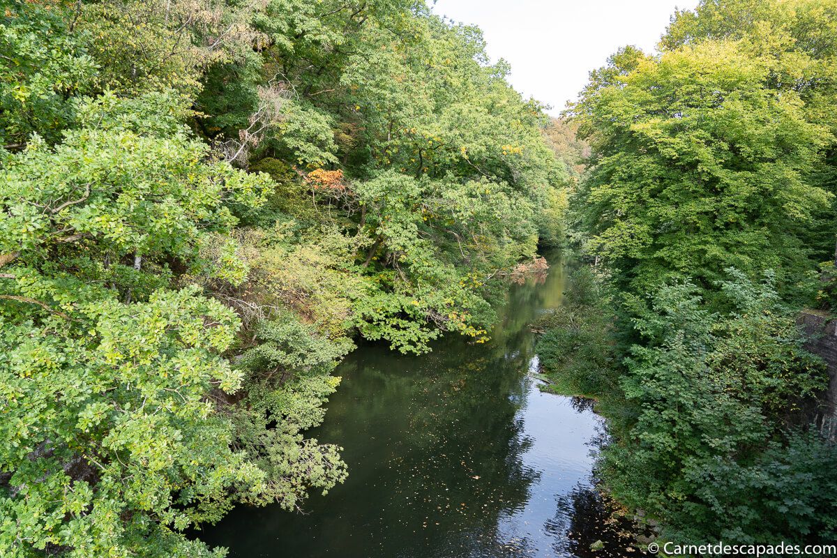 riviere-wupper-allemagne