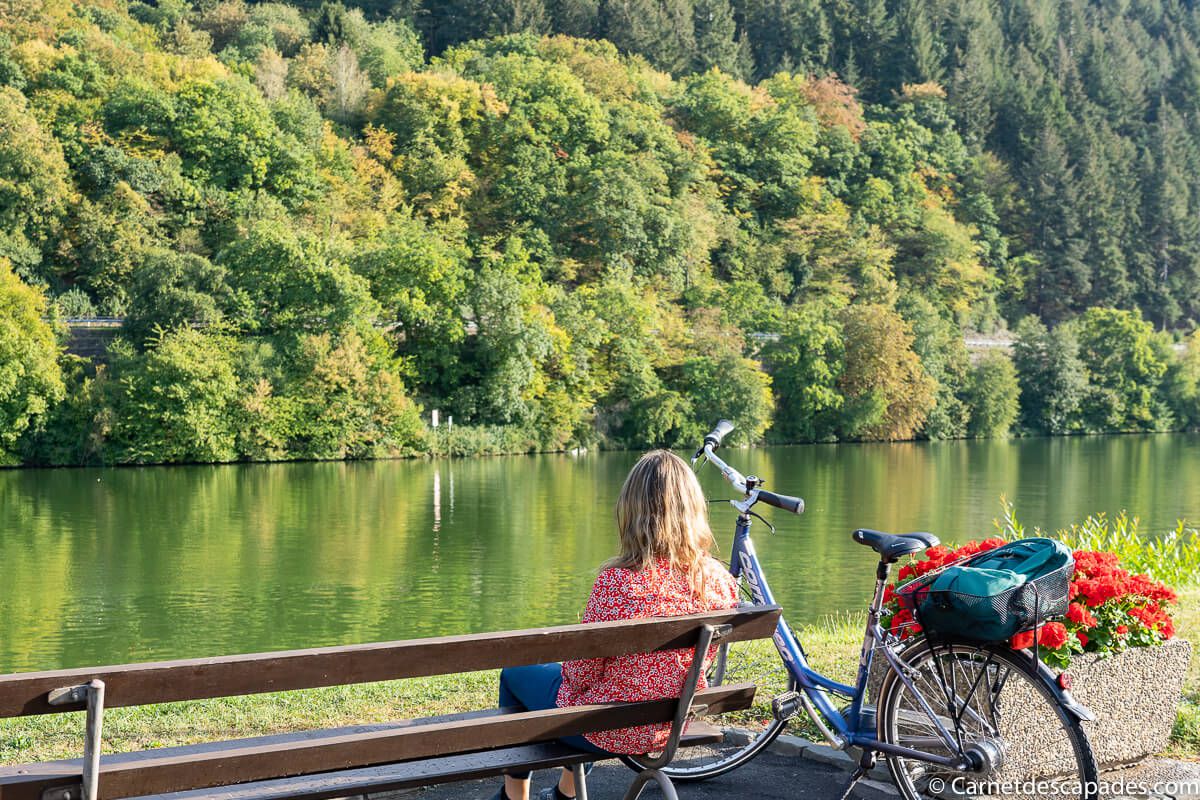 velo-moselle-traben-trarbach