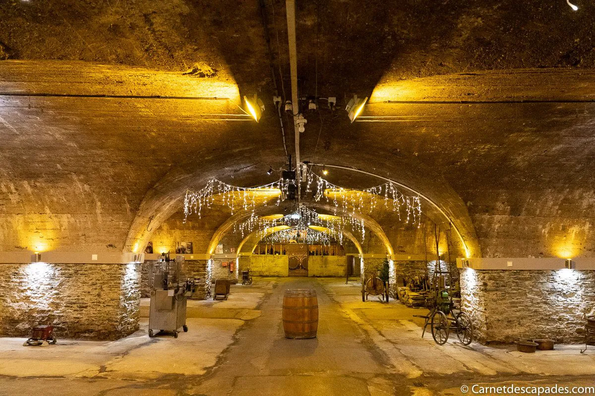 visite-caves-traben-trarbach