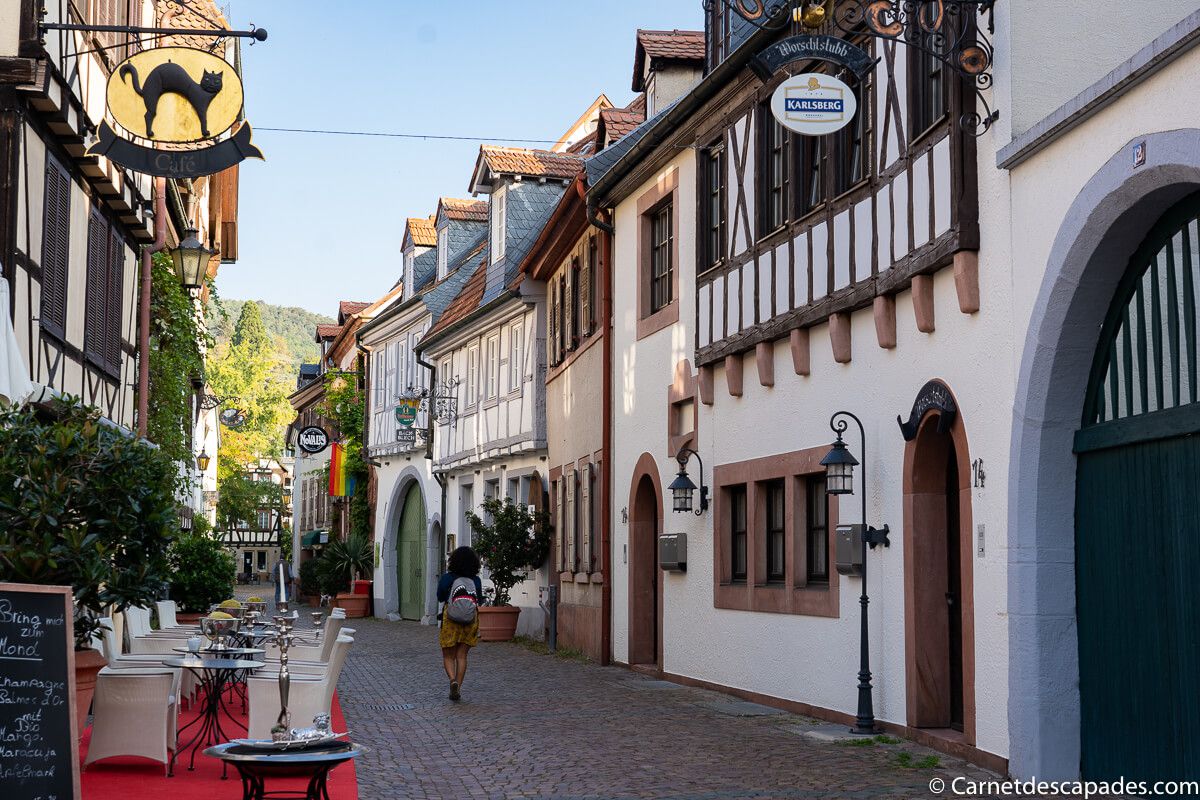 visite-neustadt-weinstrasse