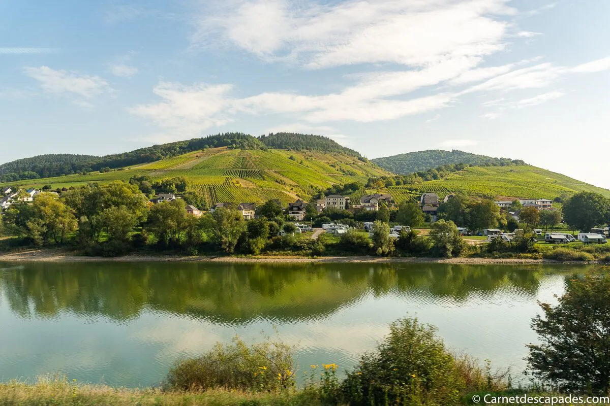vue-moselle-train