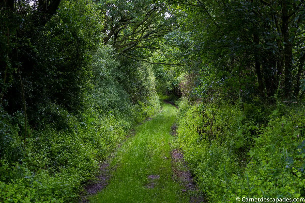 chemin-creux-mayenne