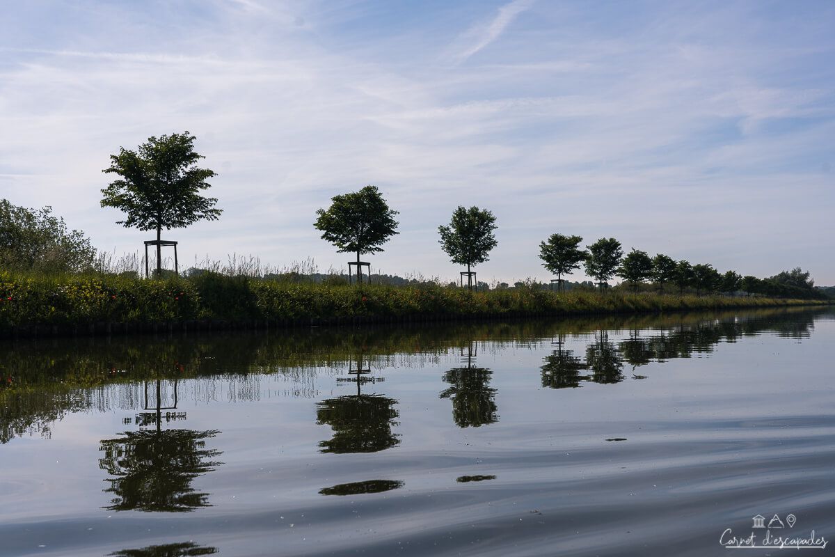 arbres-reflets-somme