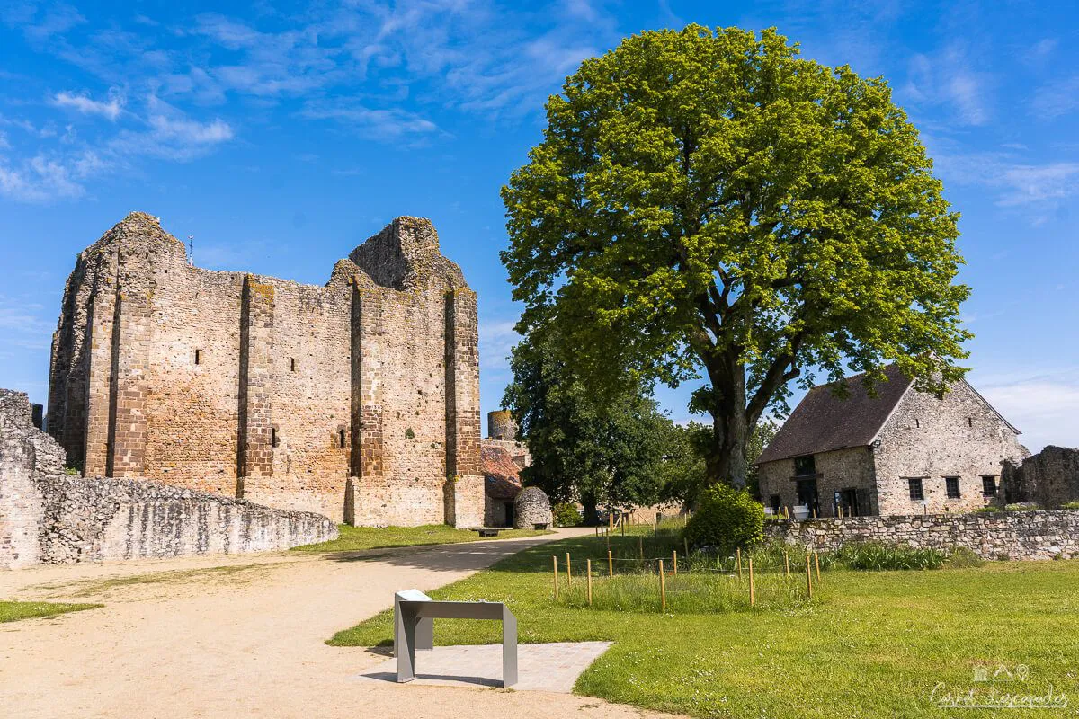 chateau-sainte-suzanne