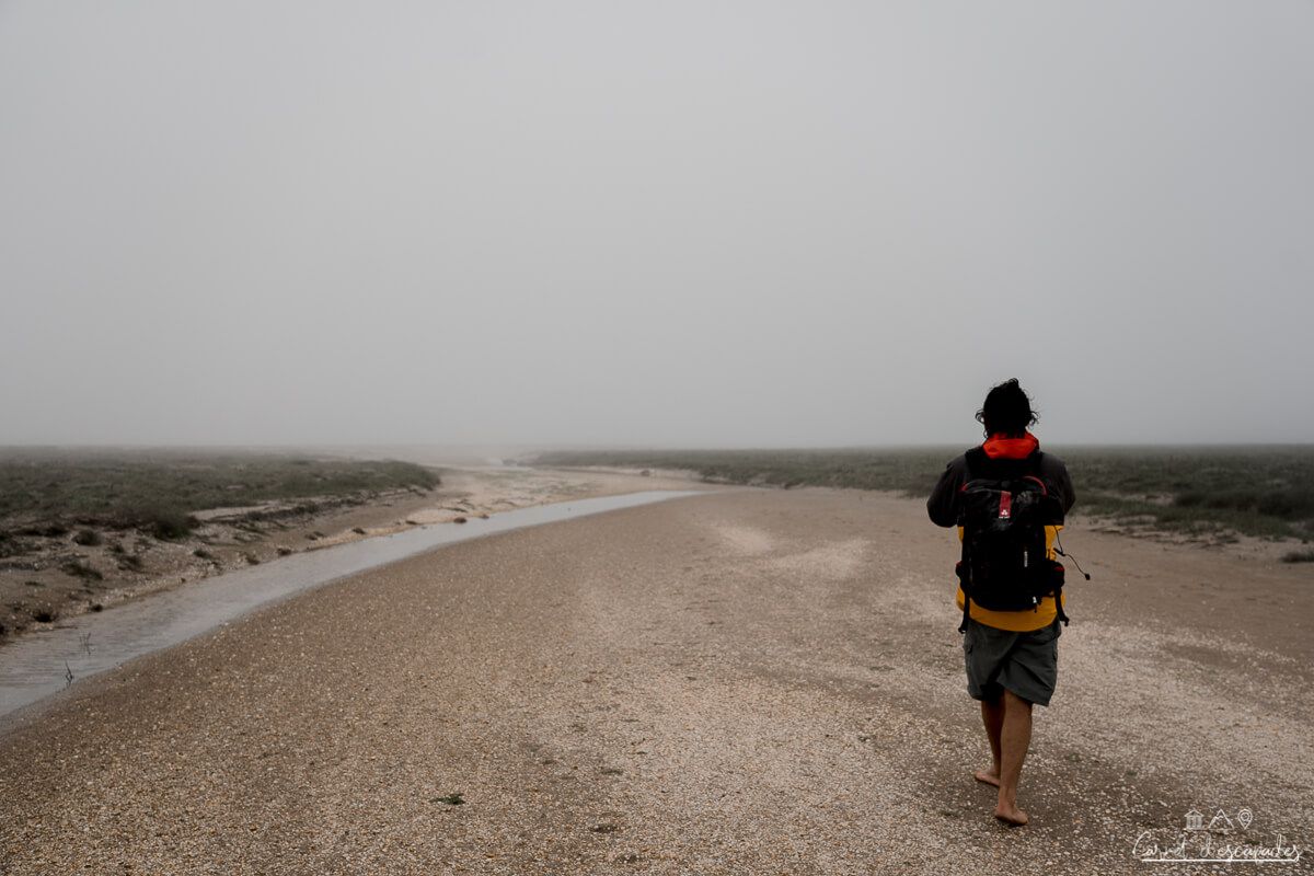 guide-baie-somme-maxim