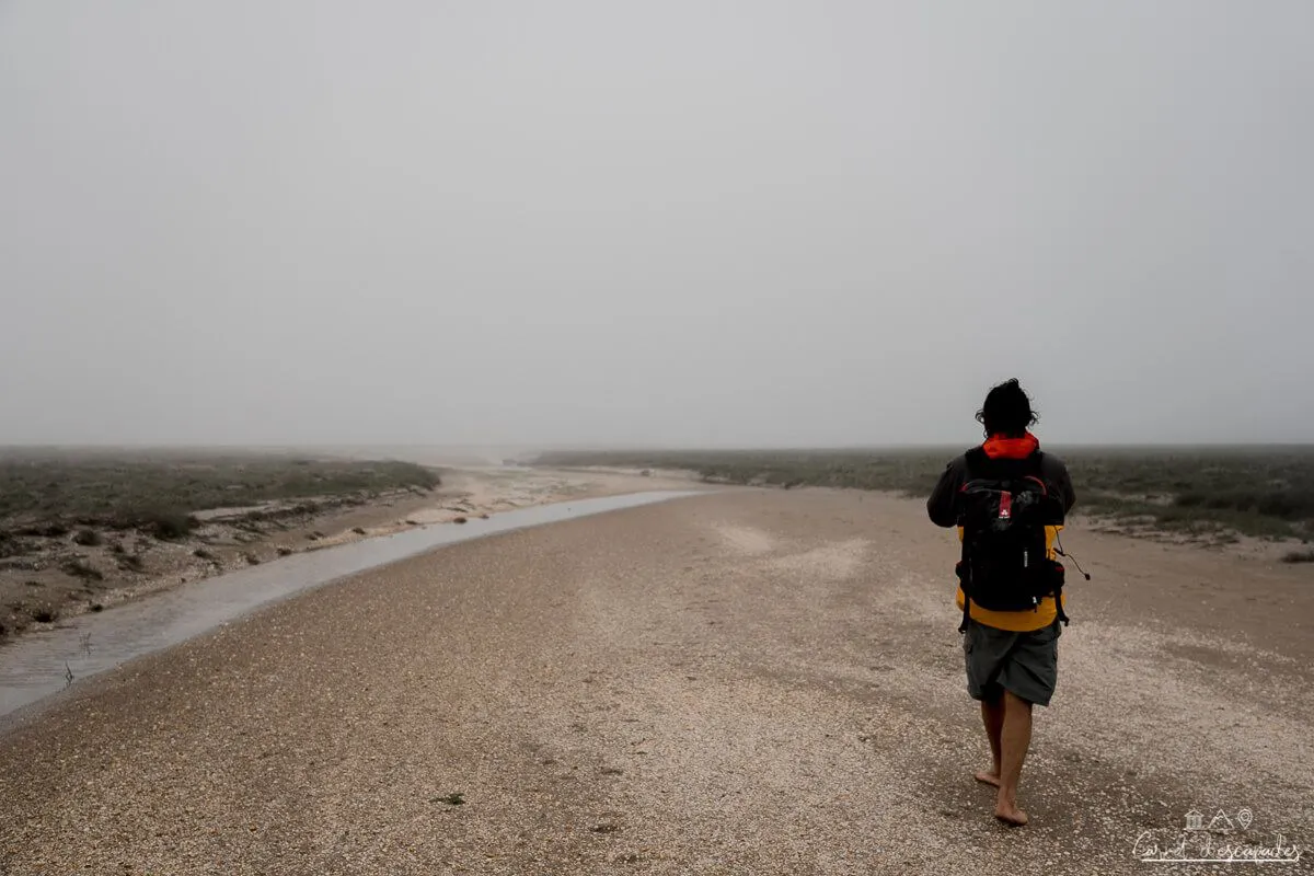 guide-baie-somme-maxim