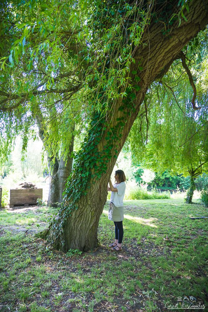 temps-bien-etre-festival-jardin-amiens