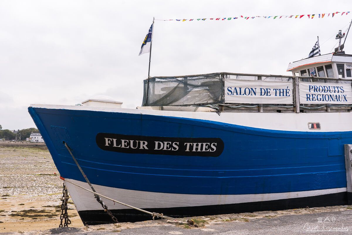 fleur-thes-landunvez