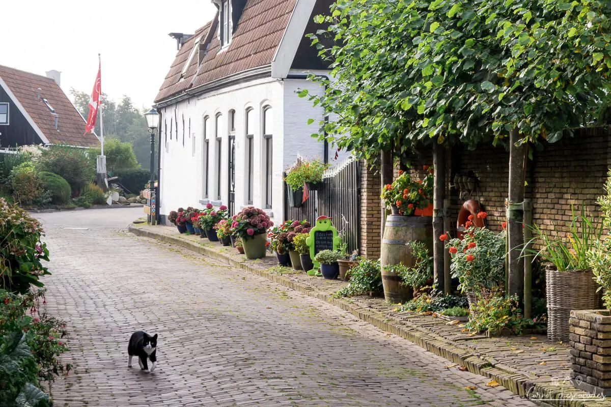 chat-village-texel